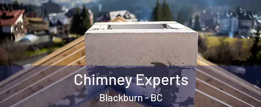  Chimney Experts Blackburn - BC