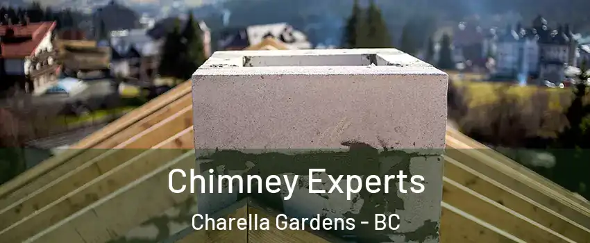  Chimney Experts Charella Gardens - BC