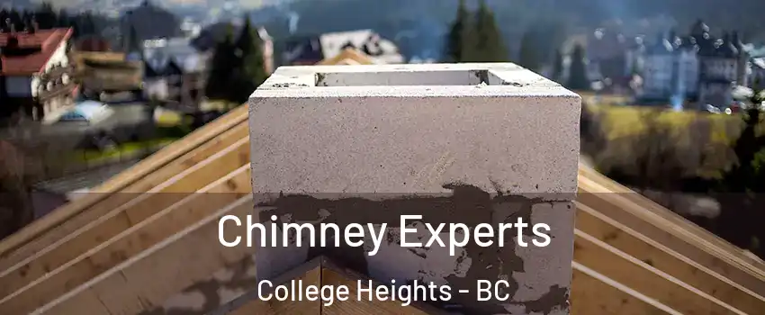  Chimney Experts College Heights - BC