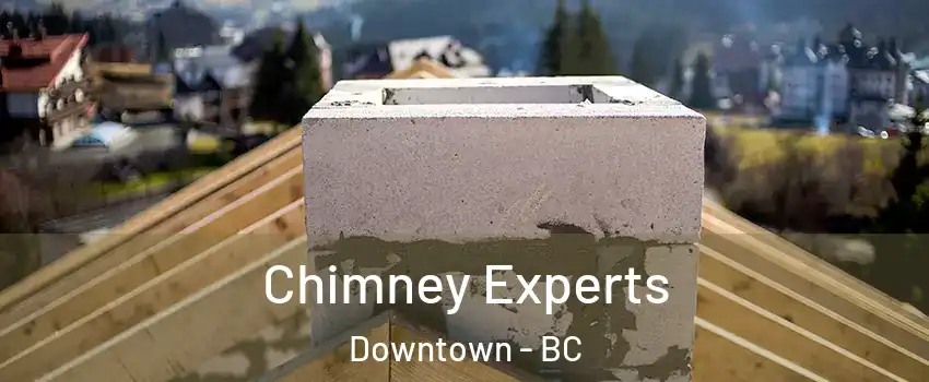  Chimney Experts Downtown - BC