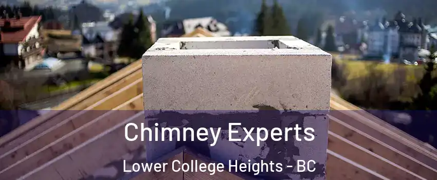  Chimney Experts Lower College Heights - BC