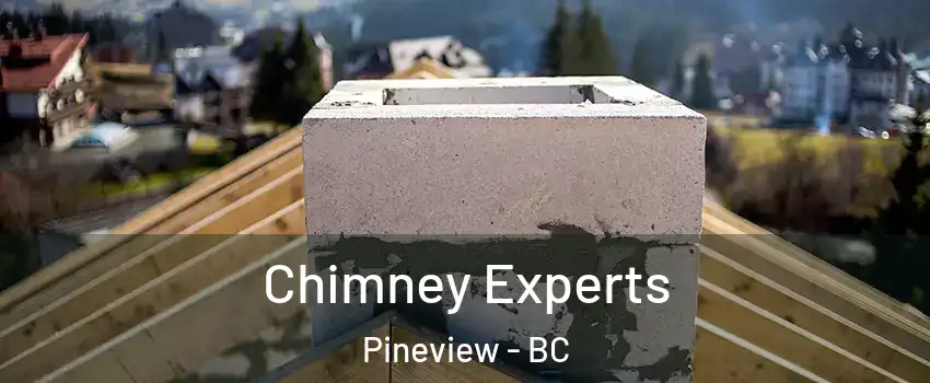  Chimney Experts Pineview - BC