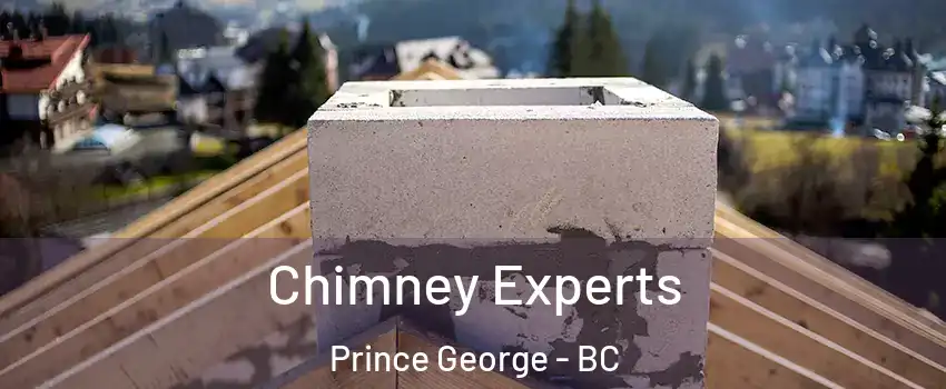  Chimney Experts Prince George - BC