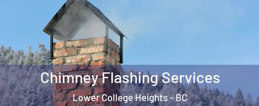  Chimney Flashing Services Lower College Heights - BC