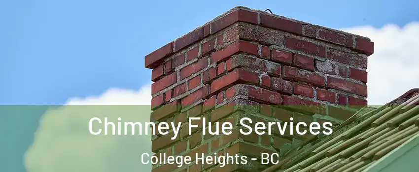  Chimney Flue Services College Heights - BC