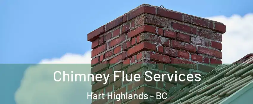  Chimney Flue Services Hart Highlands - BC