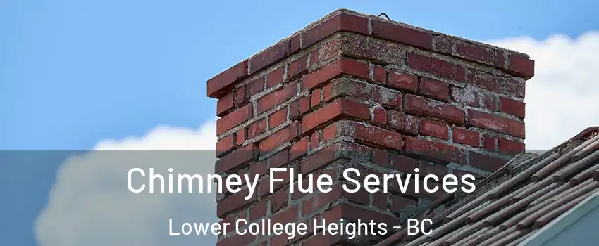  Chimney Flue Services Lower College Heights - BC