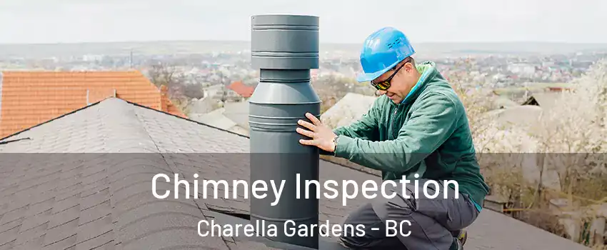  Chimney Inspection Charella Gardens - BC