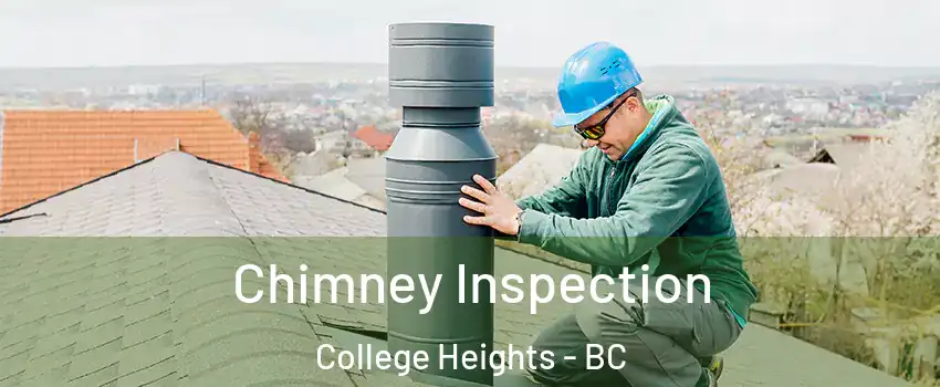  Chimney Inspection College Heights - BC