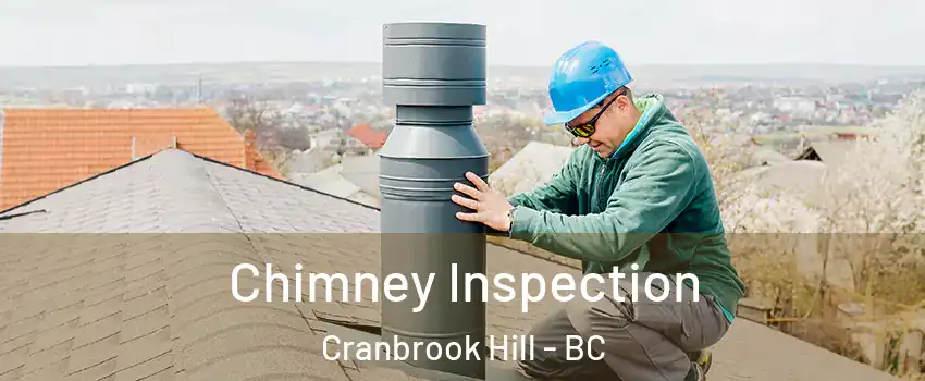  Chimney Inspection Cranbrook Hill - BC