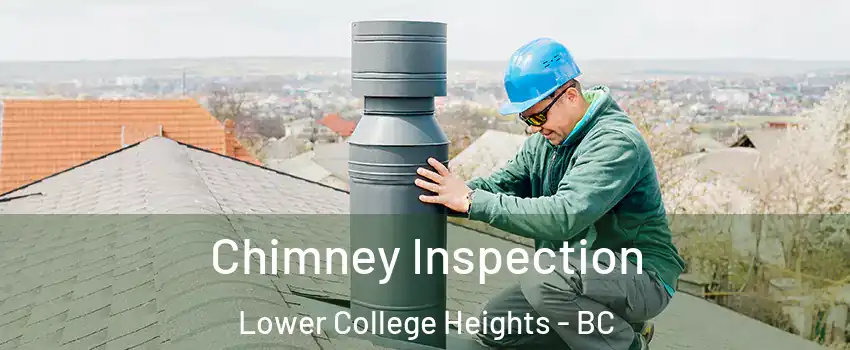  Chimney Inspection Lower College Heights - BC