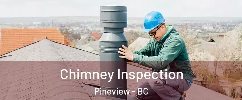  Chimney Inspection Pineview - BC