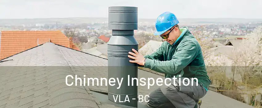  Chimney Inspection VLA - BC