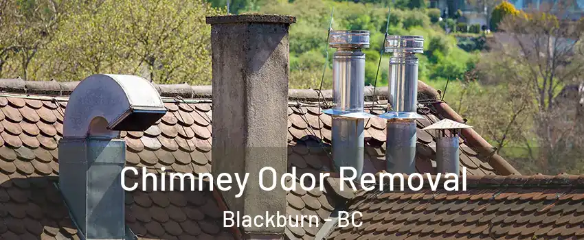  Chimney Odor Removal Blackburn - BC