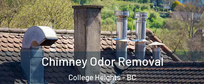  Chimney Odor Removal College Heights - BC