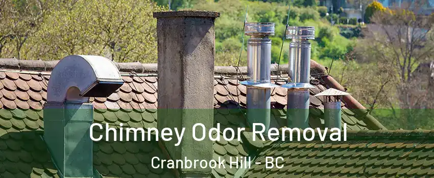  Chimney Odor Removal Cranbrook Hill - BC