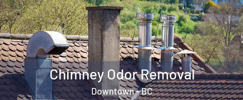  Chimney Odor Removal Downtown - BC