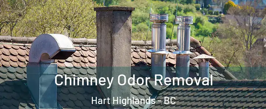  Chimney Odor Removal Hart Highlands - BC