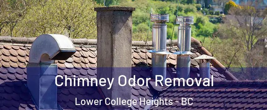  Chimney Odor Removal Lower College Heights - BC