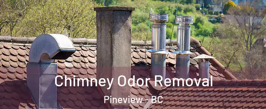  Chimney Odor Removal Pineview - BC