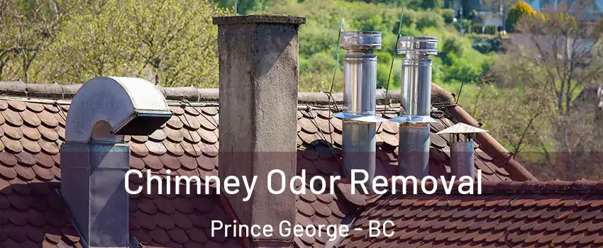  Chimney Odor Removal Prince George - BC