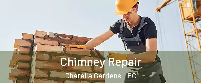  Chimney Repair Charella Gardens - BC