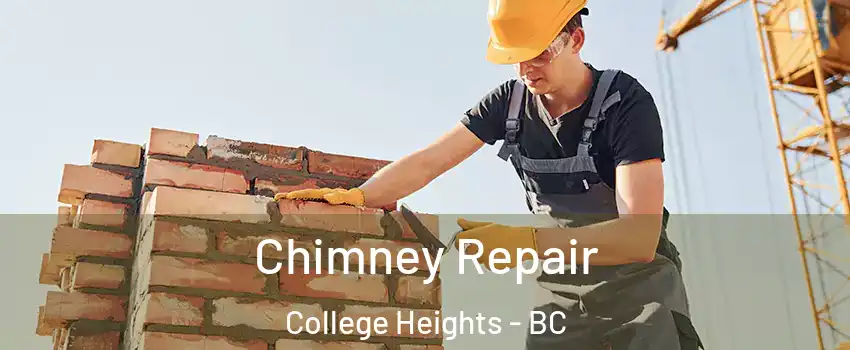  Chimney Repair College Heights - BC