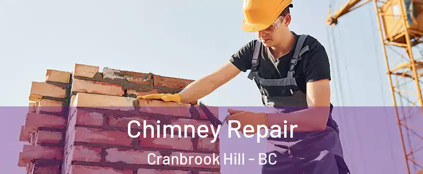  Chimney Repair Cranbrook Hill - BC