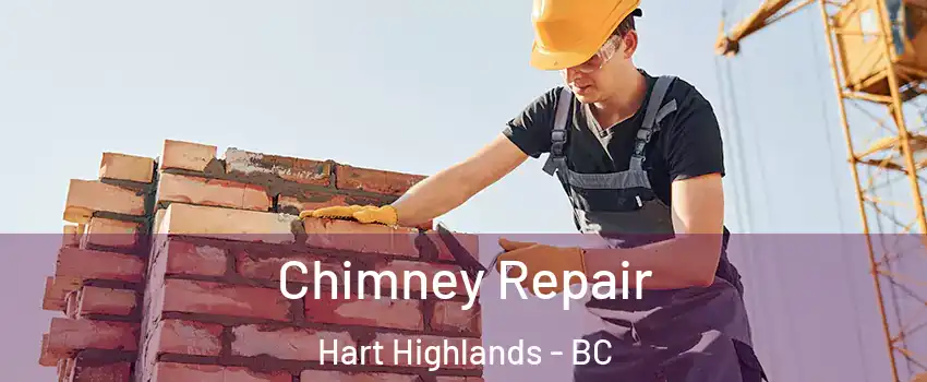  Chimney Repair Hart Highlands - BC