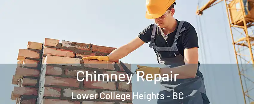  Chimney Repair Lower College Heights - BC