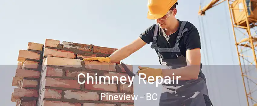  Chimney Repair Pineview - BC