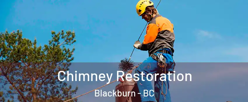  Chimney Restoration Blackburn - BC