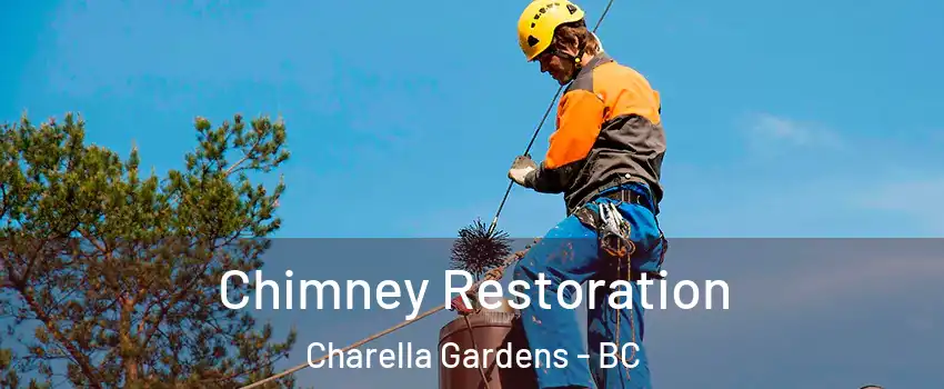  Chimney Restoration Charella Gardens - BC