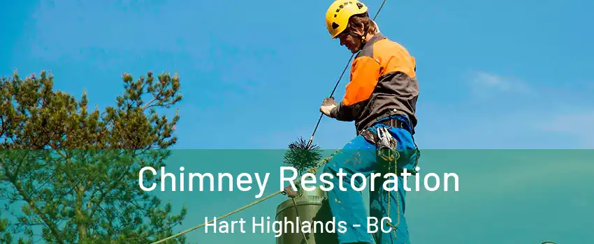  Chimney Restoration Hart Highlands - BC