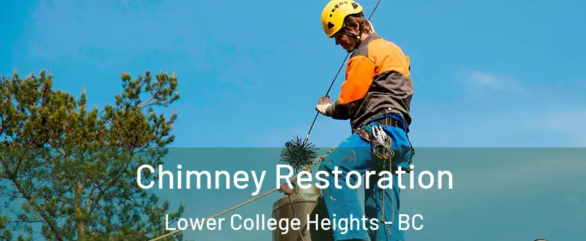  Chimney Restoration Lower College Heights - BC