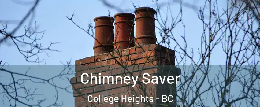  Chimney Saver College Heights - BC