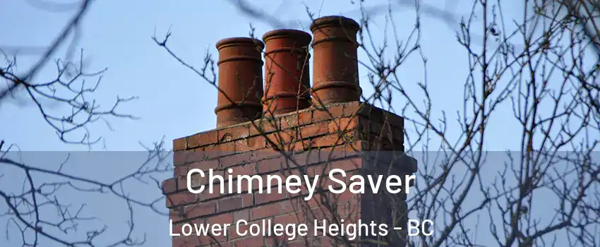  Chimney Saver Lower College Heights - BC