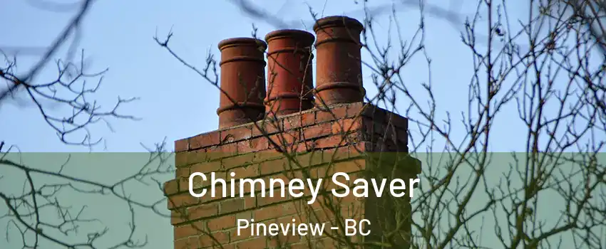  Chimney Saver Pineview - BC