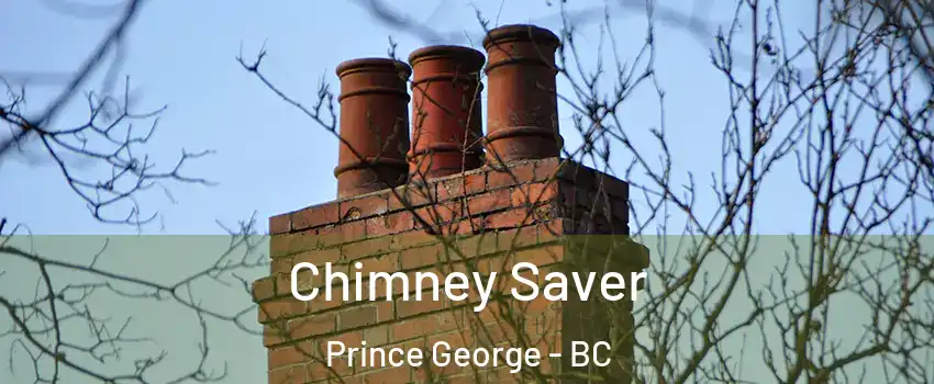  Chimney Saver Prince George - BC