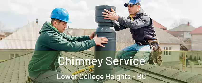  Chimney Service Lower College Heights - BC