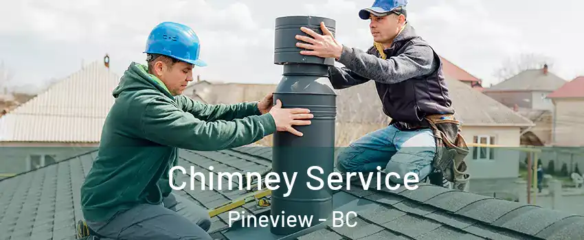  Chimney Service Pineview - BC