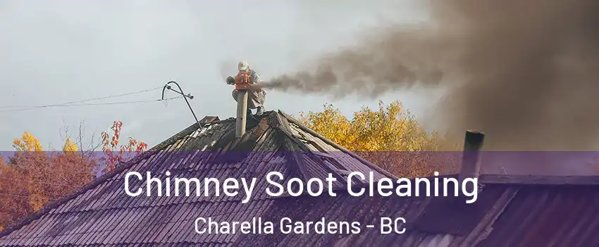  Chimney Soot Cleaning Charella Gardens - BC