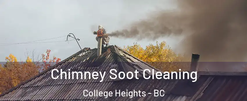  Chimney Soot Cleaning College Heights - BC