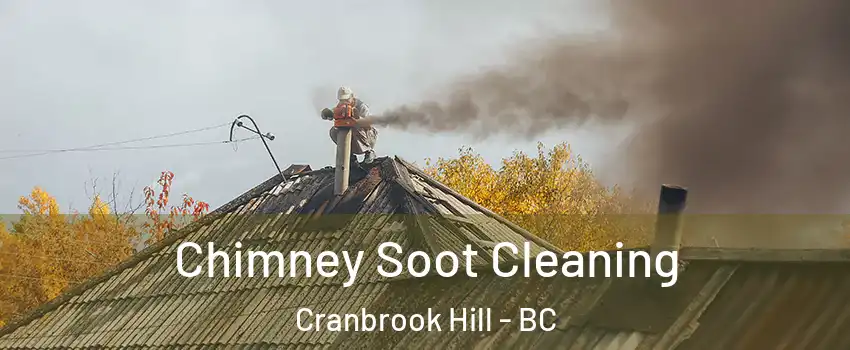  Chimney Soot Cleaning Cranbrook Hill - BC