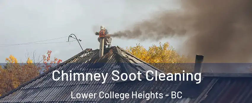  Chimney Soot Cleaning Lower College Heights - BC