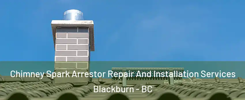  Chimney Spark Arrestor Repair And Installation Services Blackburn - BC