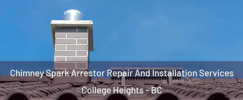  Chimney Spark Arrestor Repair And Installation Services College Heights - BC