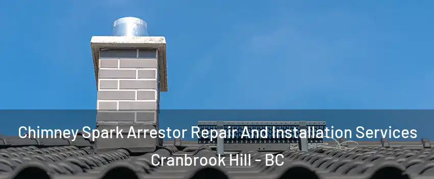  Chimney Spark Arrestor Repair And Installation Services Cranbrook Hill - BC