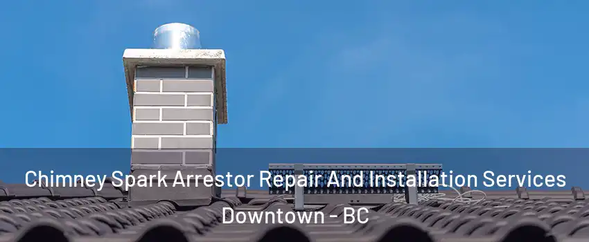  Chimney Spark Arrestor Repair And Installation Services Downtown - BC