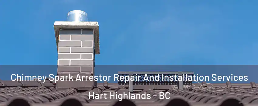  Chimney Spark Arrestor Repair And Installation Services Hart Highlands - BC